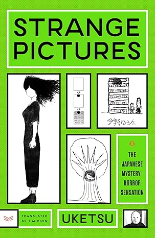 Strange Pictures: A Novel