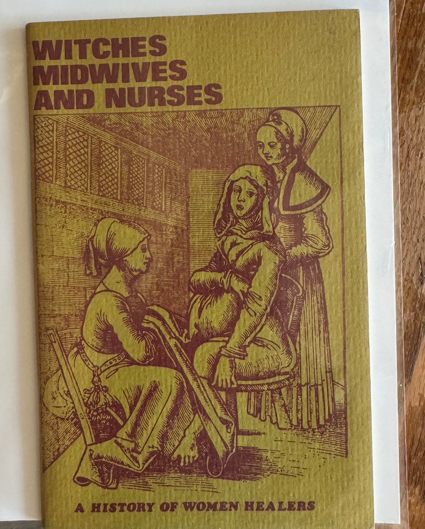 Witches, Midwives and Nurses: A History of Women Healers
