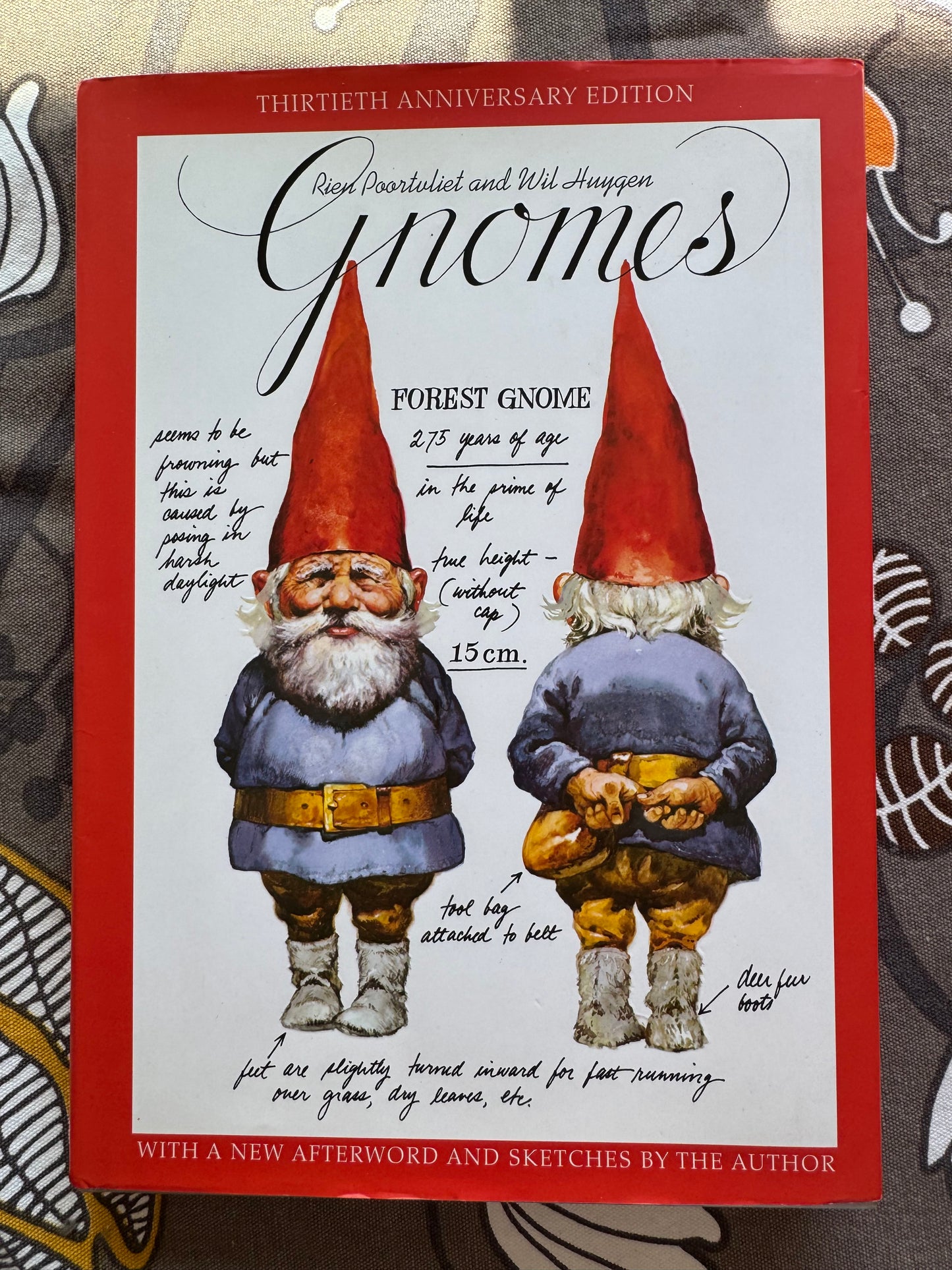 Gnomes