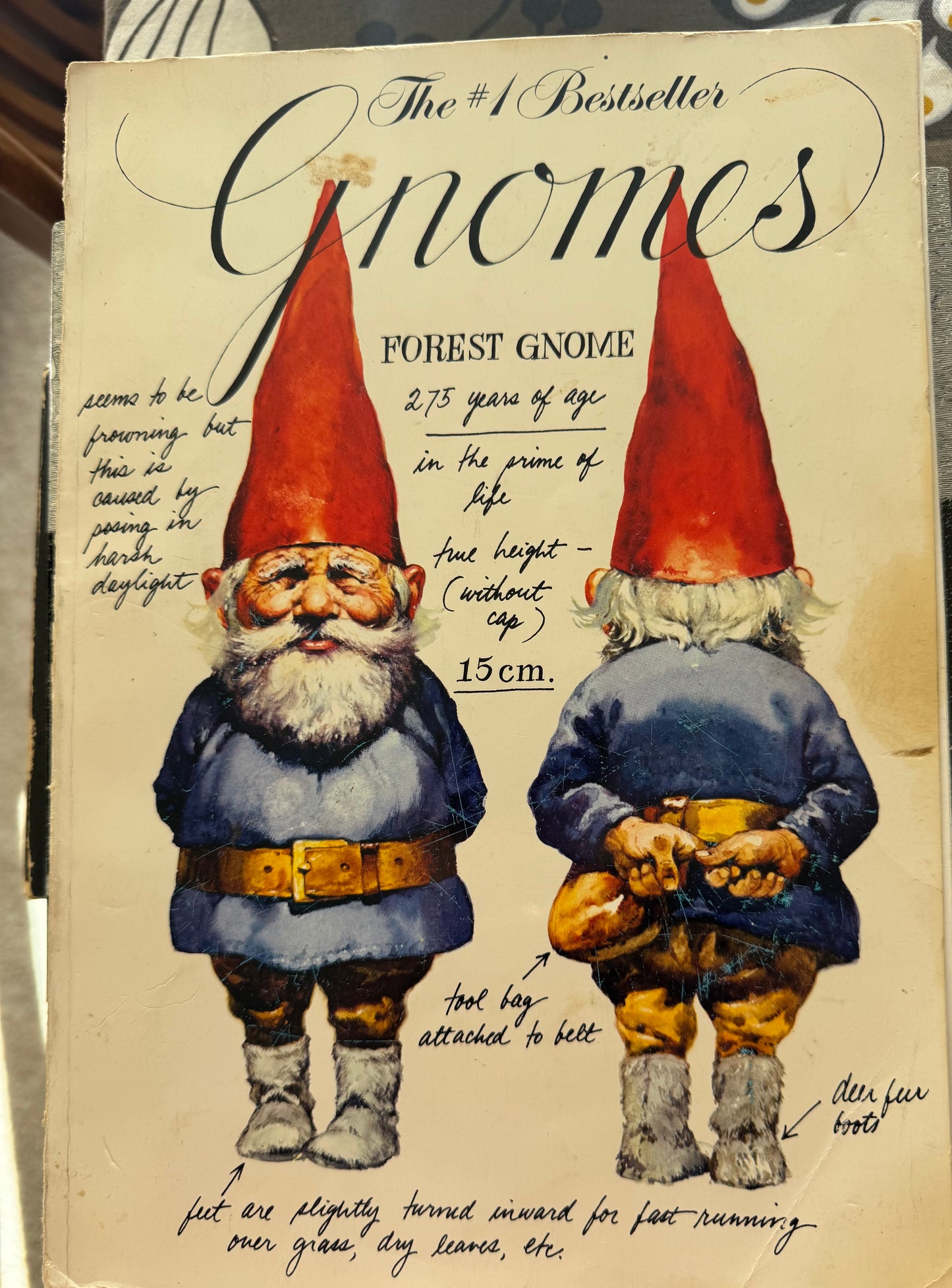 Gnomes