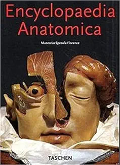 Encyclopaedia Anatomica