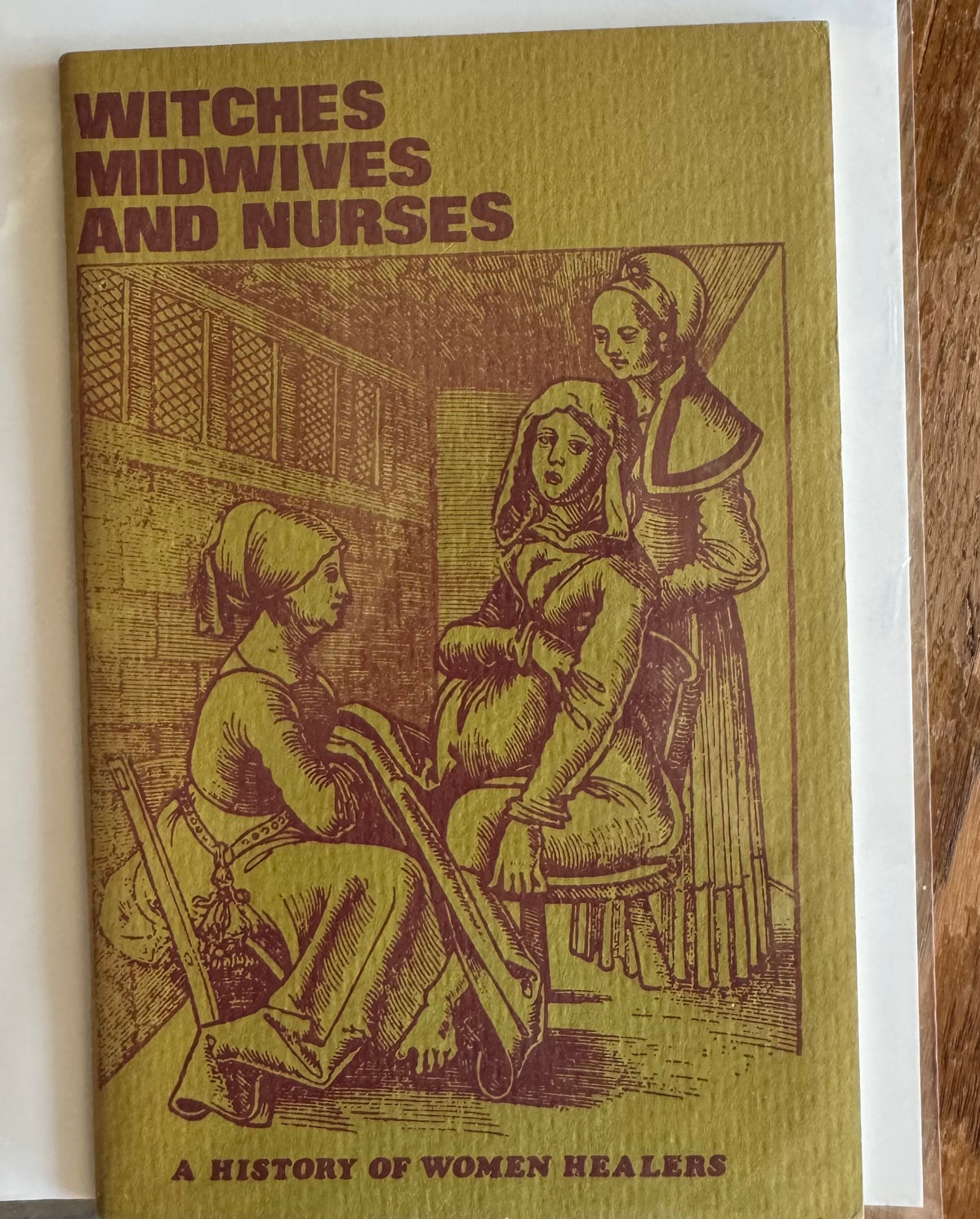 Witches, Midwives and Nurses: A History of Women Healers