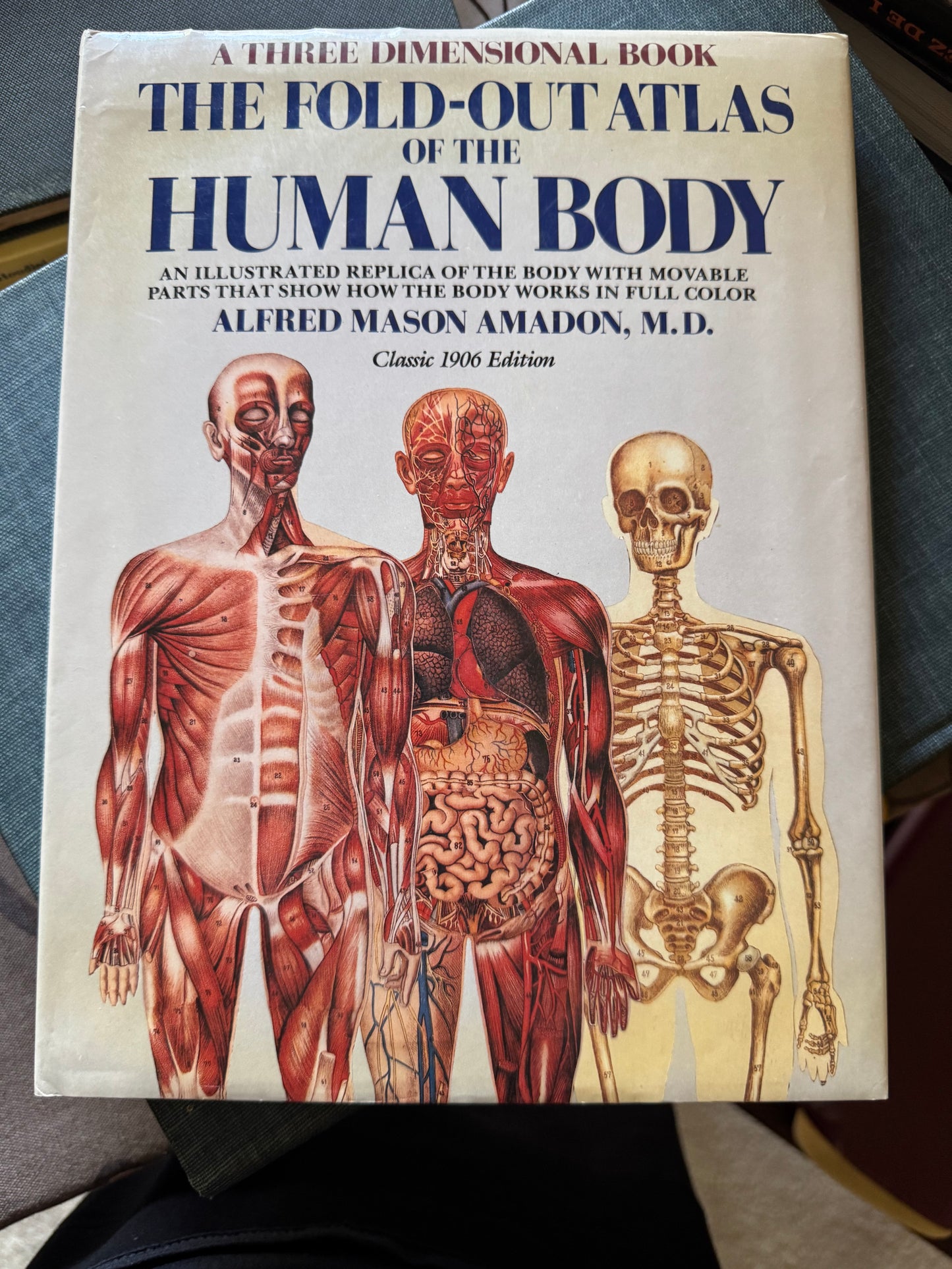 The Fold-Out Book of the Human Body: Classic 1906 Edition